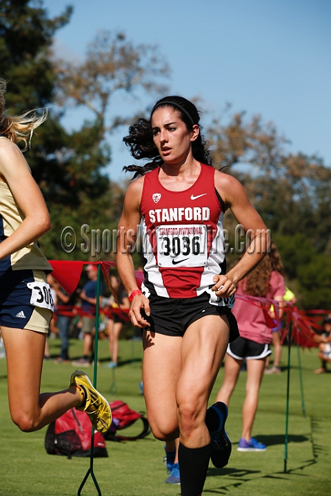 2014StanfordCollWomen-266.JPG - College race at the 2014 Stanford Cross Country Invitational, September 27, Stanford Golf Course, Stanford, California.